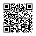 To view this 2008 Hyundai Santa Fe Ft. Worth  from Euro-American Motorcars Buy Here Pay Here Fort Worth, please scan this QR code with your smartphone or tablet to view the mobile version of this page.